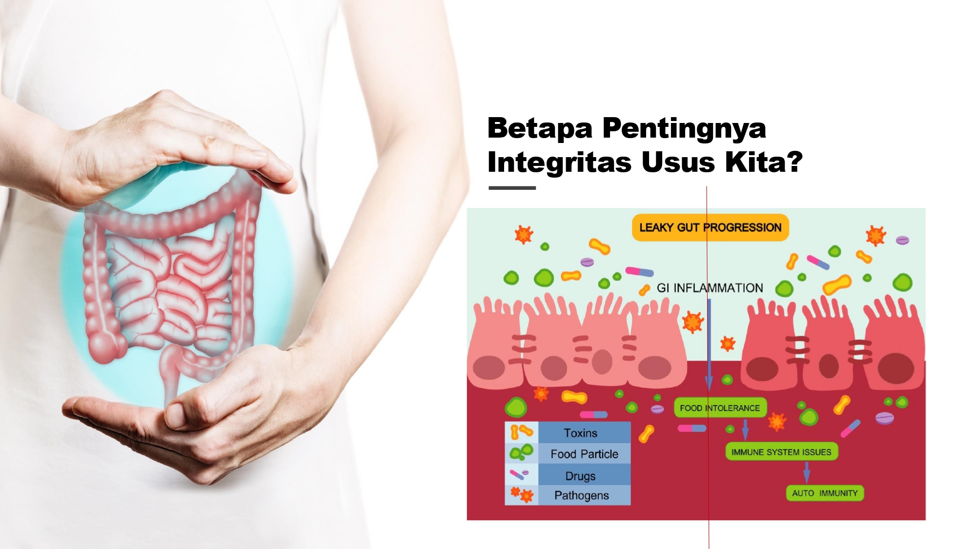 Education content image